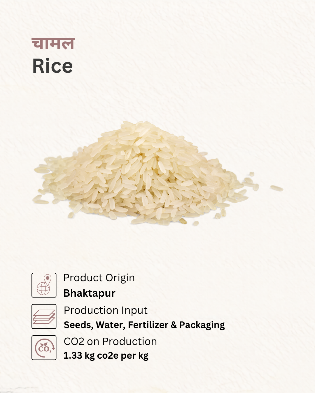 Rice